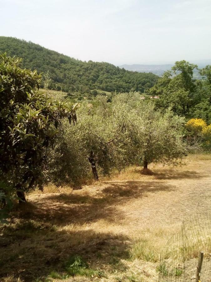 فيلا Casa Renacci Subbiano المظهر الخارجي الصورة